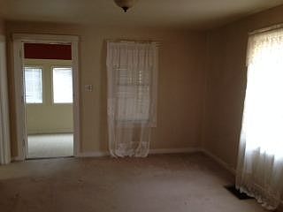 photo 1 (2)