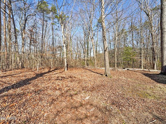 2nd image of Charles Young Rd