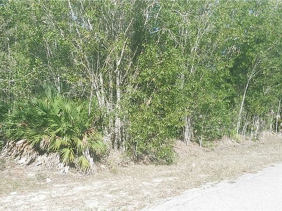 4th image of 103 Leroy Ave