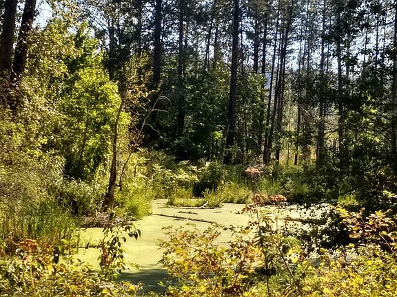 3rd image of 501 Hornby Pl Lot 19