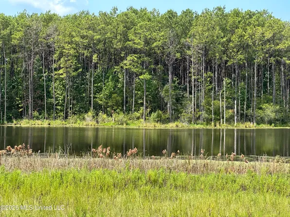 186 New Arbor Rd W Lot 49, Poplarville, MS 39470