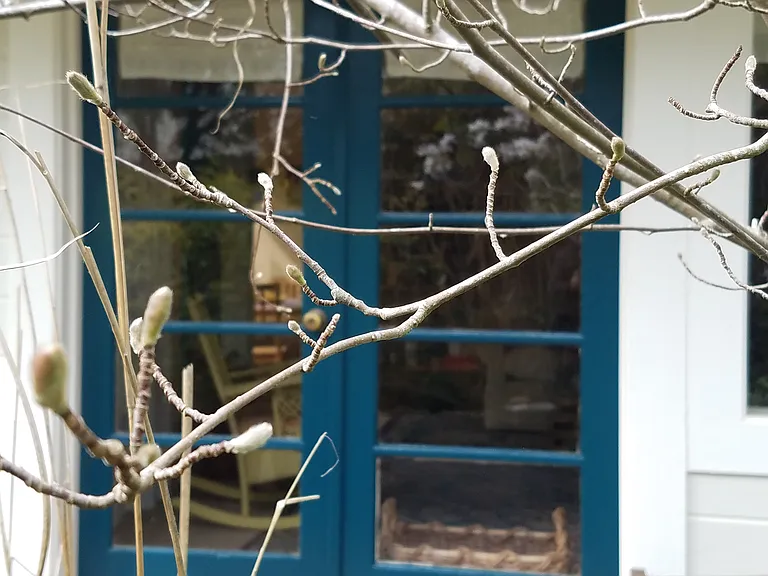 Willis Ln — Photo 2
