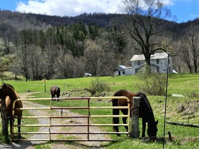 Spring Rd, Slatyfork, WV, 26291