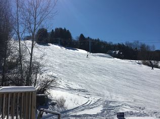 23 Slopeside Rd, Ellicottville, NY 14731