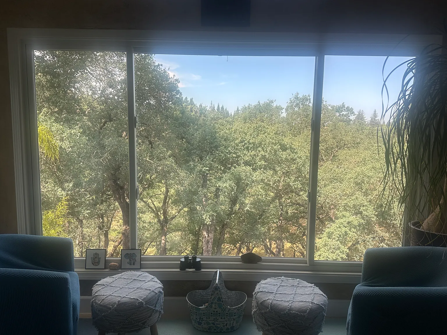 5 bed, 3500 sqft, $5,400 — Photo 3