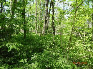 6055 Farmbrook Rd NE, Belding, MI 48809