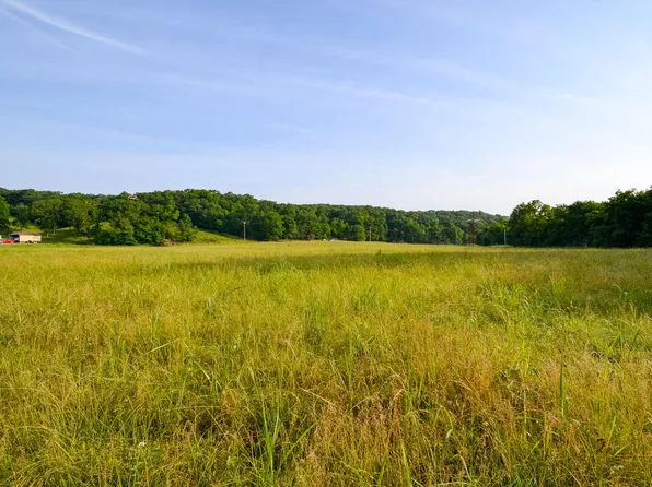 000 Condor Drive #Tract 1, Seneca, MO 64865