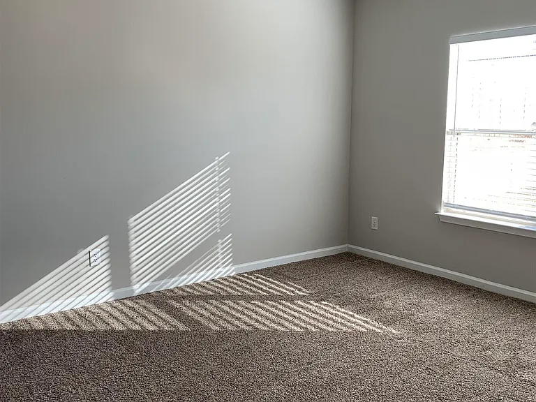 223 Ivyleaf Dr — Photo 10