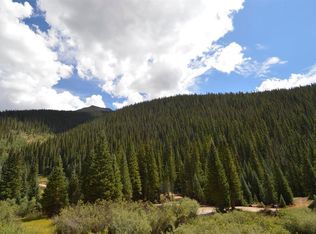 TDB CR 110 Gold Bug, Silverton, CO 81433