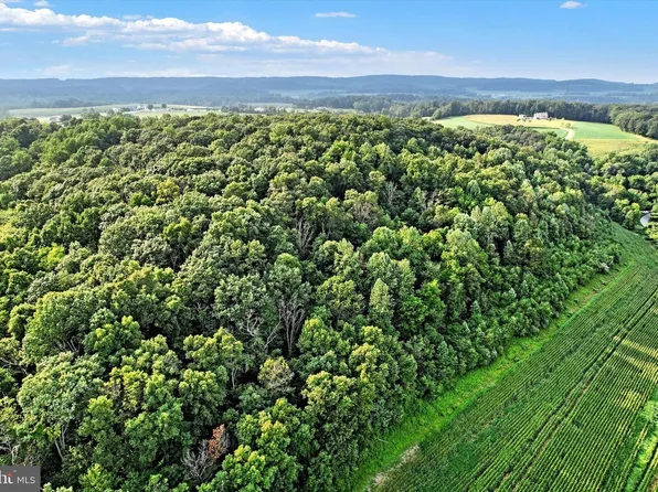 Falls Rd, Manchester, MD 21102