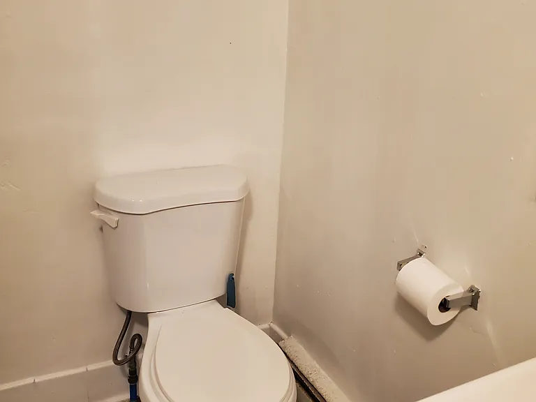 237 Bishop St #3 — Photo 8