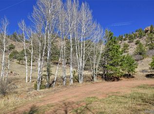 221 Floresta LOT L9, Florissant, CO 80816