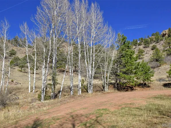 221 Floresta LOT L9, Florissant, CO 80816