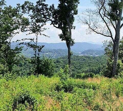 4th image of 488 Ashe Cabin Hollow Rd