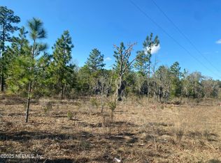 235 MICHIGAN Drive, Hawthorne, FL 32640