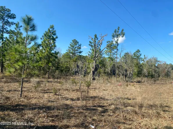 235 MICHIGAN Drive, Hawthorne, FL 32640