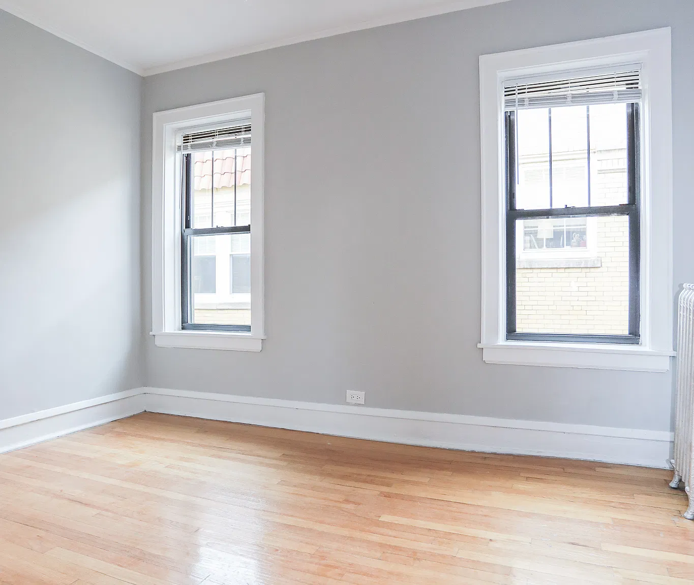 1 bed, $1,550 — Photo 3