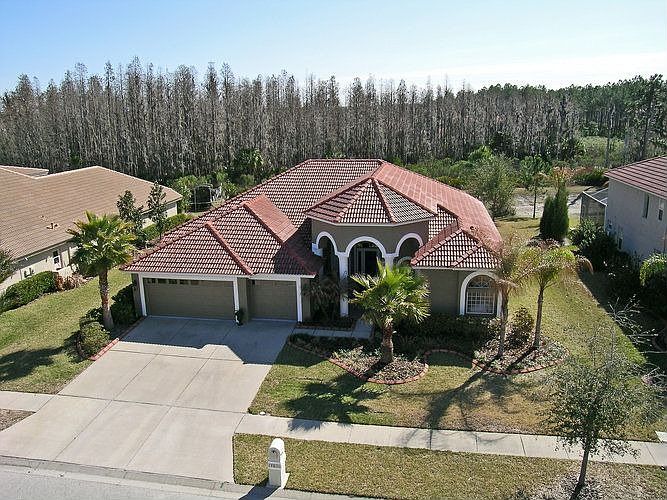 17836 Arbor Greene Dr, Tampa, FL 33647 Zillow