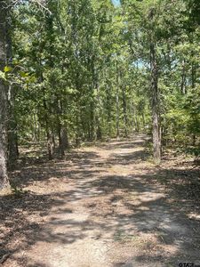 727 County Road 1676, Alba, TX, 75410