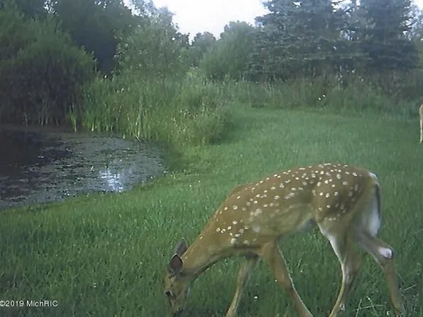 M Dr N, Springport, MI 49284