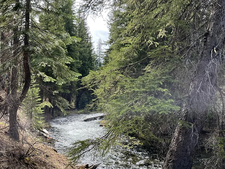 640 ft of Tumalo Creek Frontage