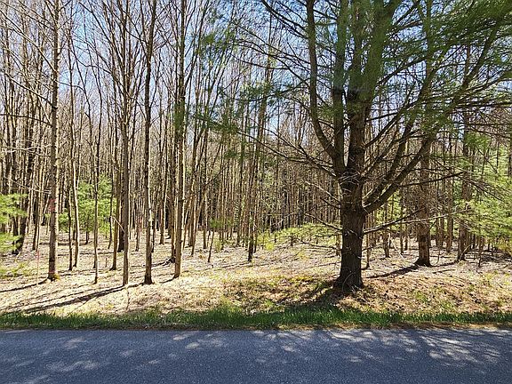 3rd image of Ev373 374 Towamensing Trl