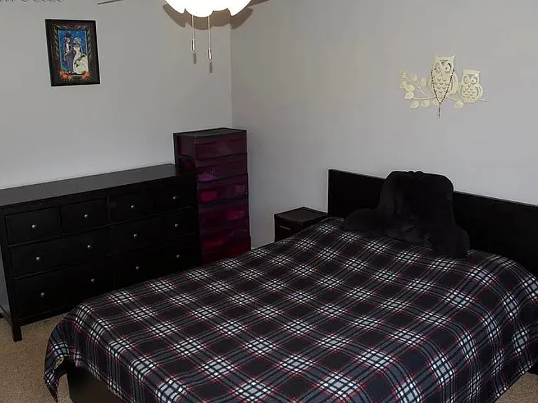 3124 Vail Pass Dr — Photo 6
