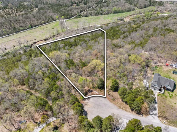 000 Lot 29 Mills Hollow Court, Branson, MO 65616