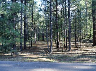 5003 Night Hawk Loop, Pinetop, AZ 85935