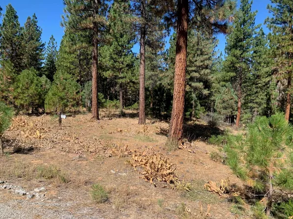 145 Blacktail Rdg, Portola, CA 96122