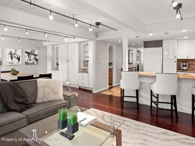 700 Ute Ave #107, Aspen, CO, 81611