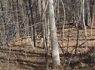 Lot #16 Fields Ave, Blue Ridge, VA 24064