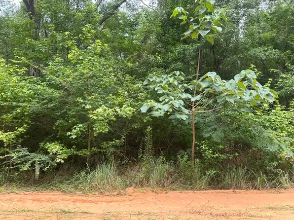 0 Alma St, Lumberton, MS 39455