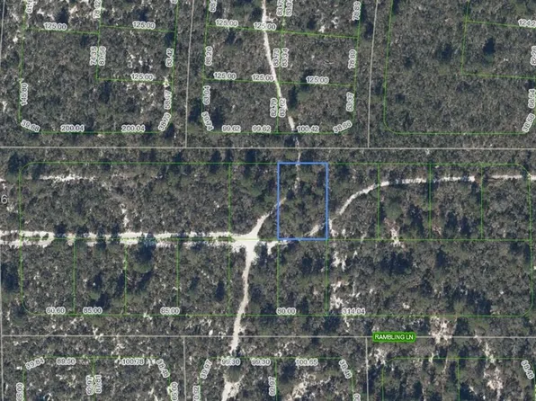 437 Souvenir Ln, Lake Placid, FL 33852