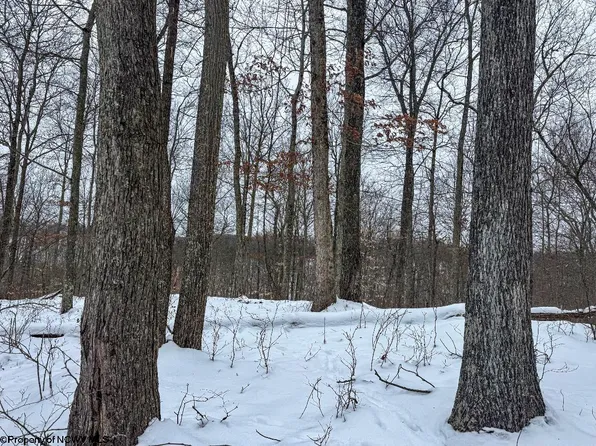 Upper Murray Rd, Mannington, WV 26582