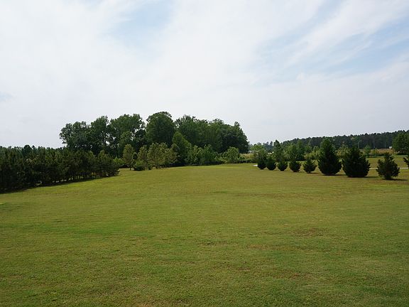 Almost 2 acre back yard 