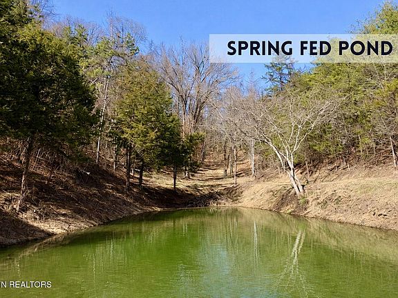 4th image of 609 Lane Hollow Rd