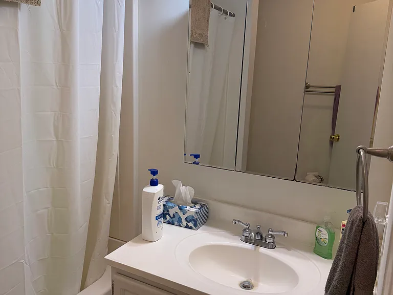 20 Homestead Ln #20 — Photo 4