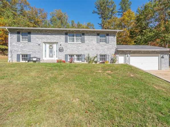 595 Whippet Dr, Ellington, MO 63638