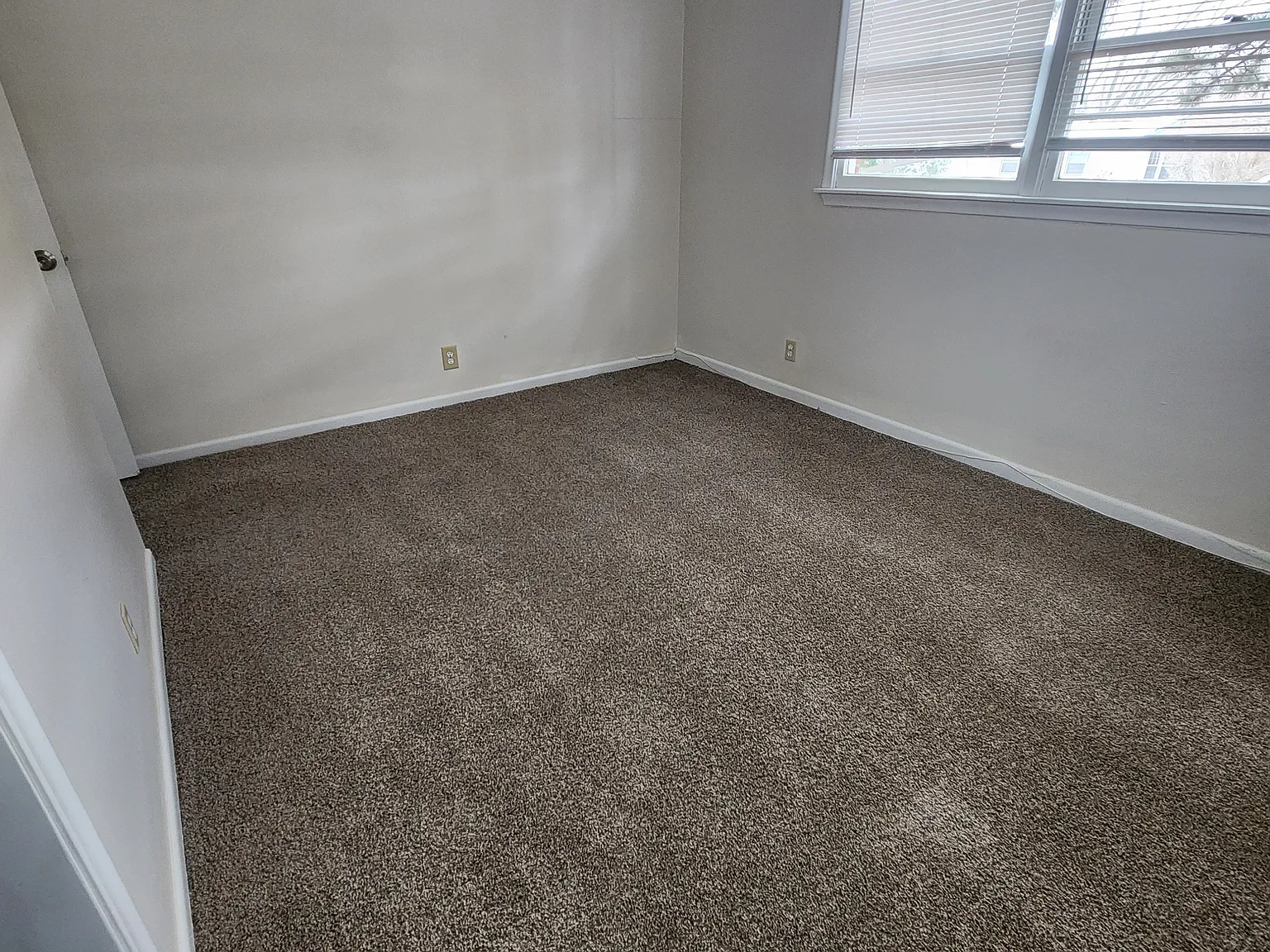 505 Wilshire Dr — Photo 4