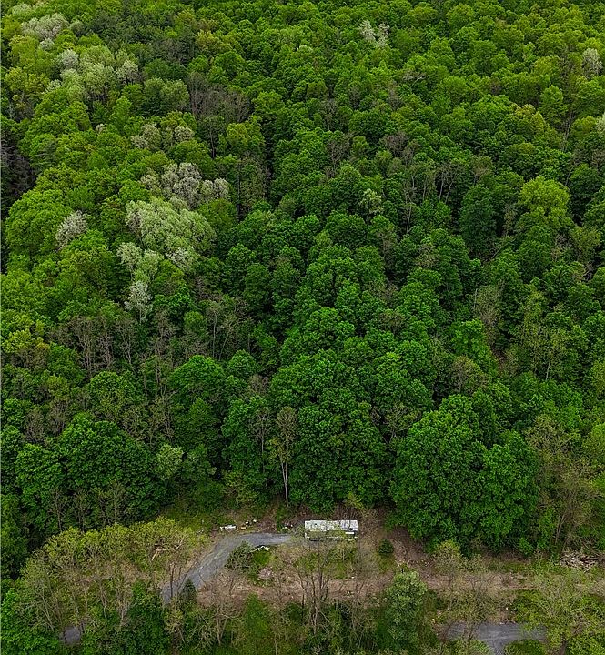 1st image of 1937 State Route 245 Lot 8