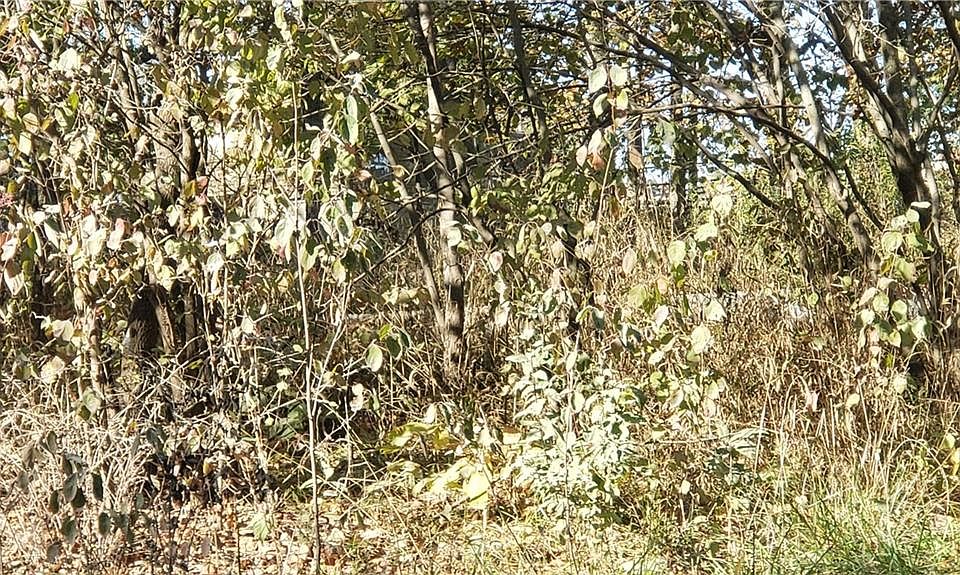 2nd image of Lakeshore Dr