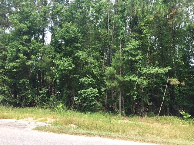 2nd image of LOT-21C Lakewood Dr