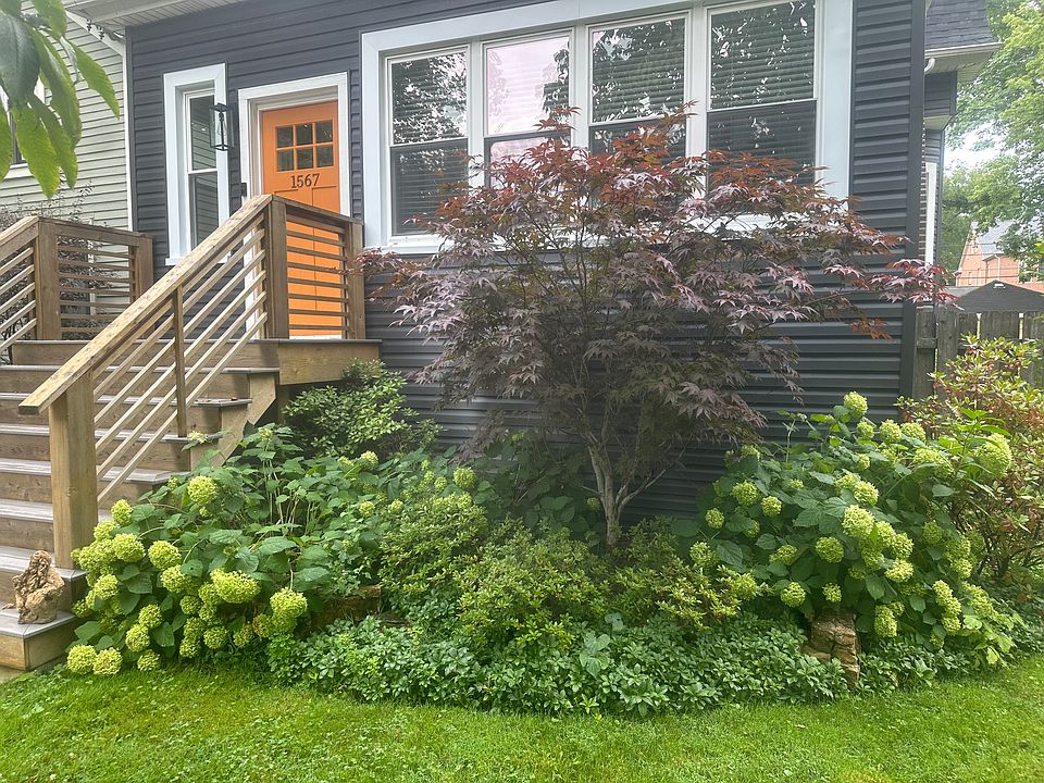 1st image of 1567 Dewey Ave