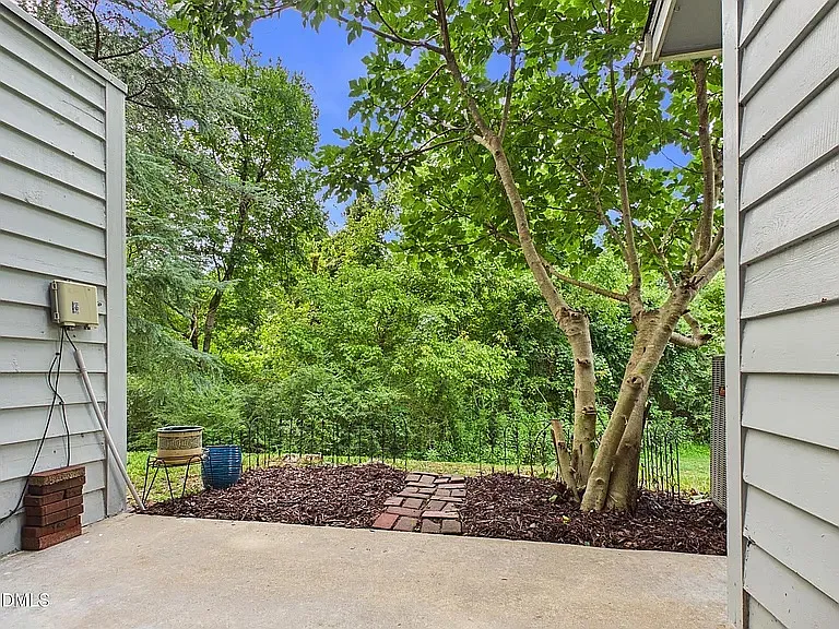 View of the backyard.