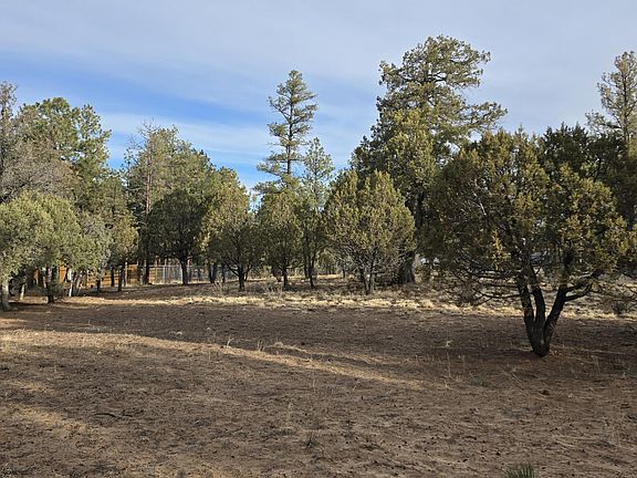 4th image of 2218 Mountain Lion Ln