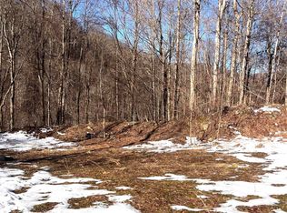 TRACT 1 Fill Hollow Rd, Tunnelton, WV 26444