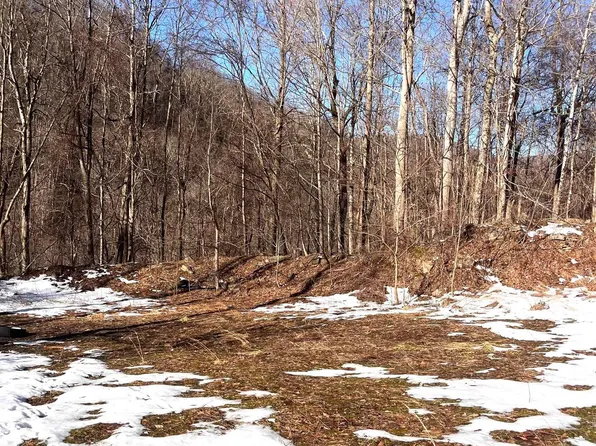TRACT 1 Fill Hollow Rd, Tunnelton, WV 26444