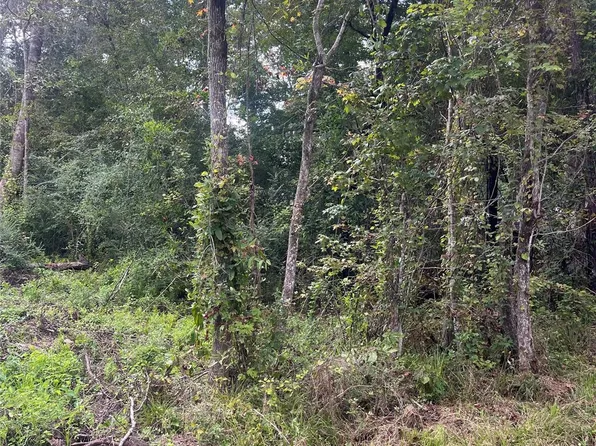 13181 Royal Springs Rd, Conroe, TX 77303