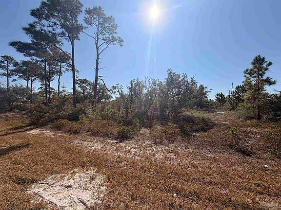 5th image of 13000 Gongora Dr